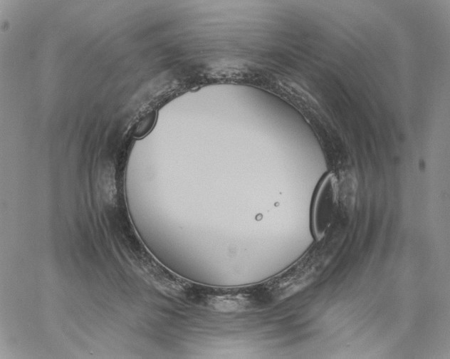 X0000060800508200511241914