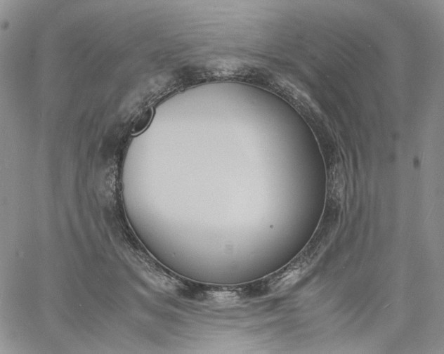 X0000060800509200511241914