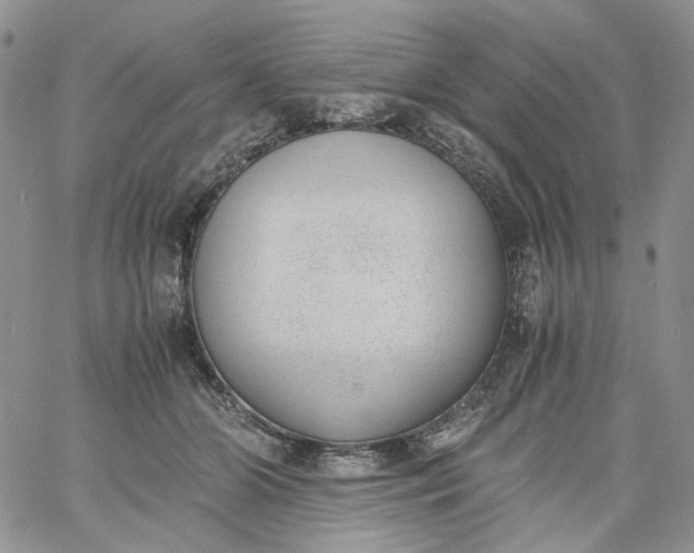 X0000060800510200511241914