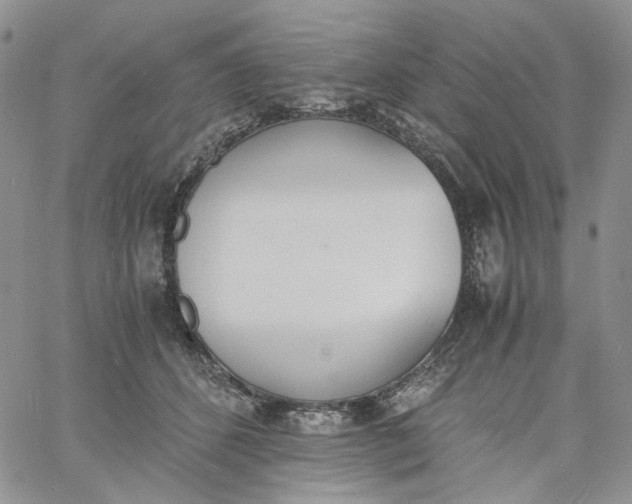 X0000060800512200511241913