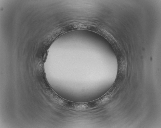 X0000060800513200511241913