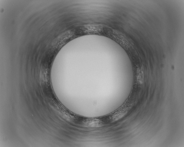 X0000060800514200511241913