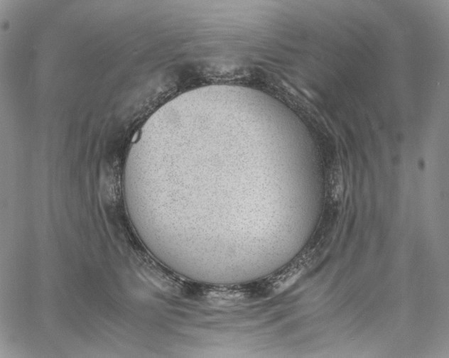 X0000060800515200511241913