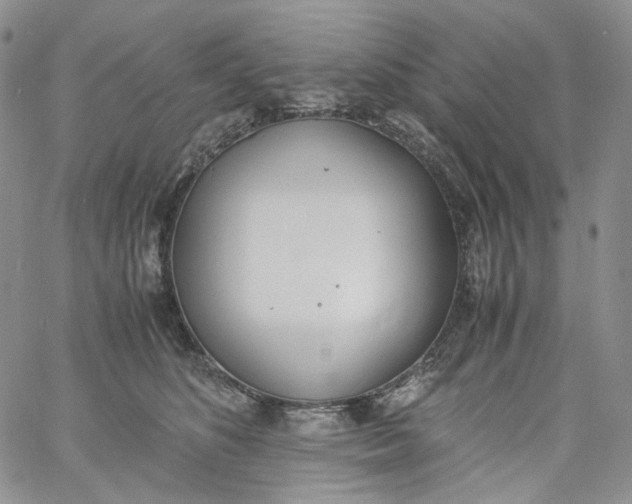 X0000060800516200511241913