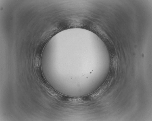 X0000060800517200511241913