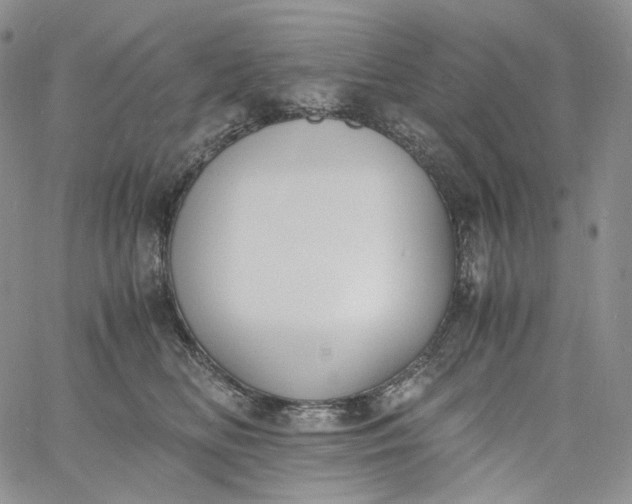 X0000060800518200511241913