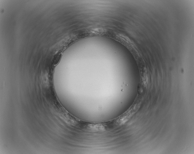 X0000060800520200511241913