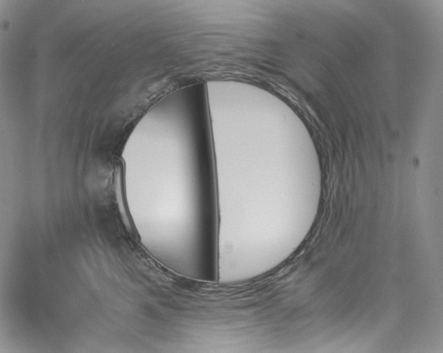 X0000060800521200511241913