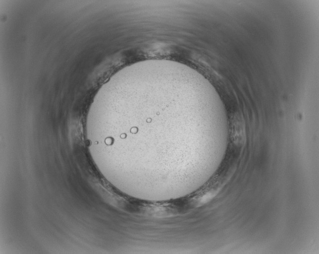 X0000060800523200511241913