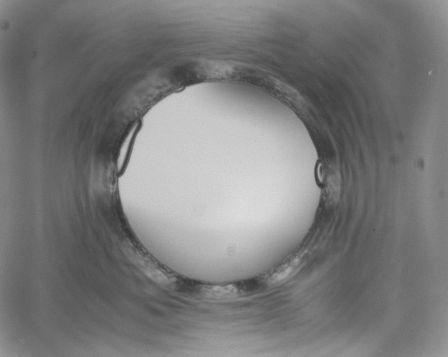 X0000060800525200511241913