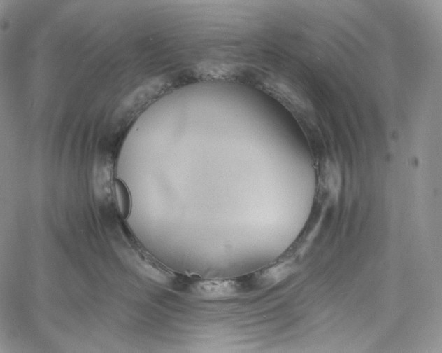 X0000060800526200511241913