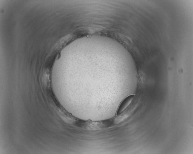 X0000060800527200511241913