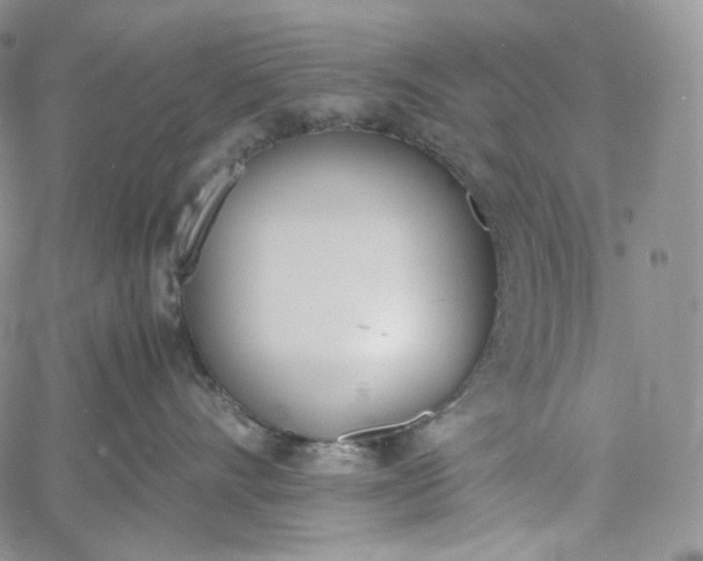 X0000060800528200511241913