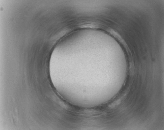 X0000060800529200511241912