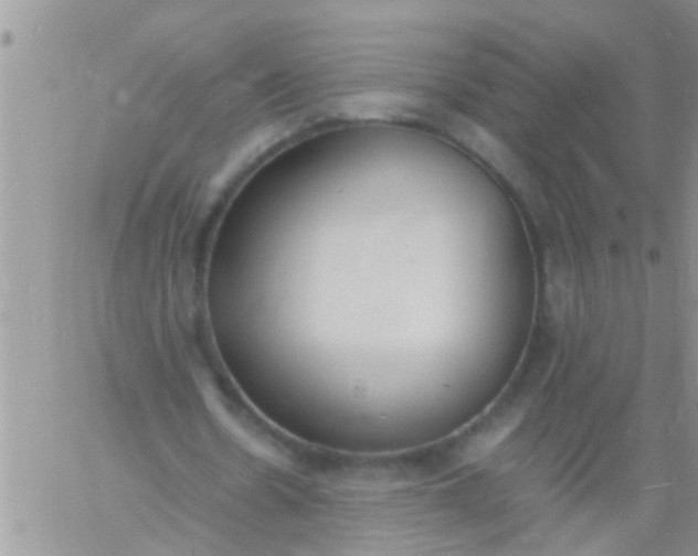 X0000060800530200511241912