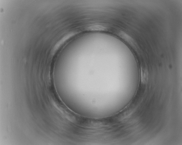 X0000060800531200511241912