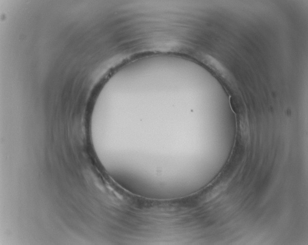 X0000060800532200511241912