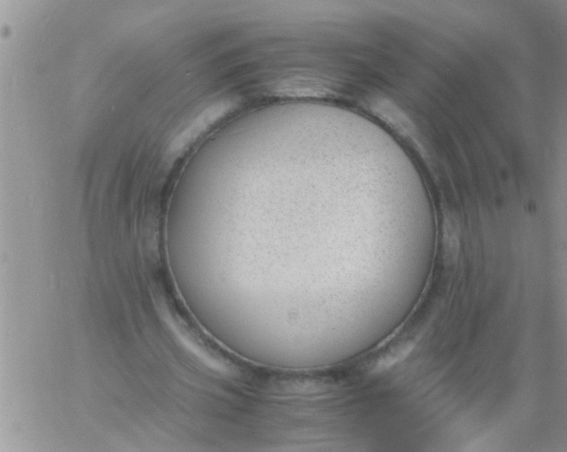 X0000060800533200511241912