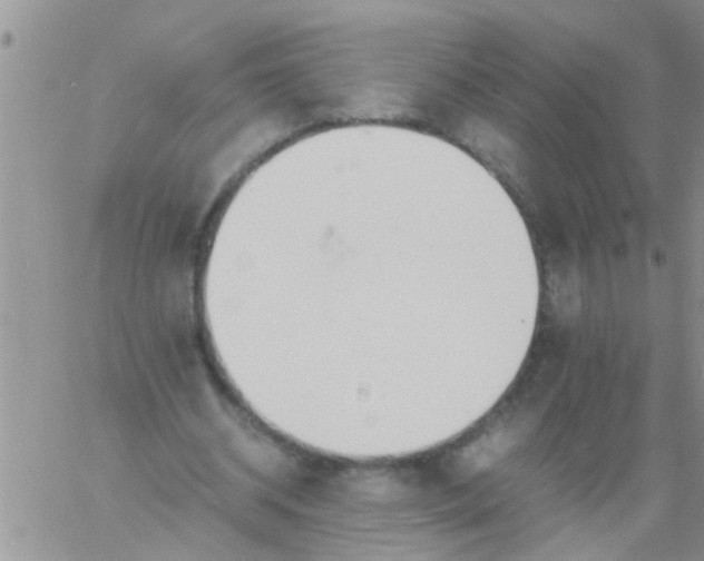 X0000060800534200511241913