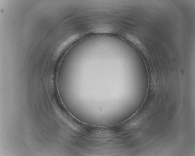 X0000060800535200511241913