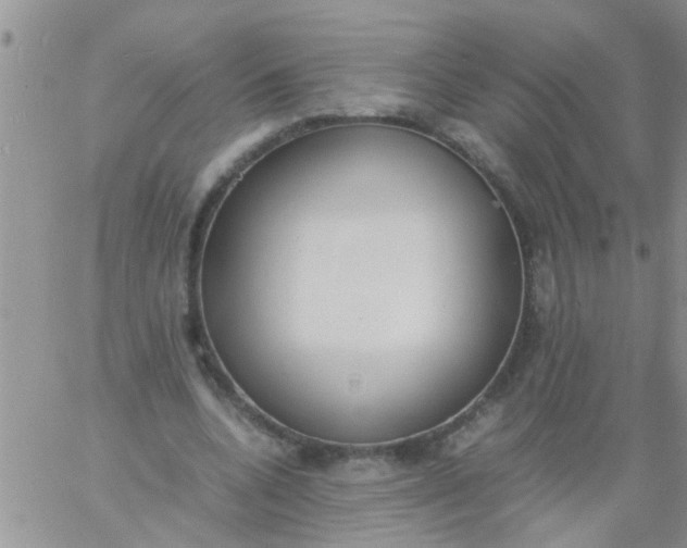 X0000060800536200511241913