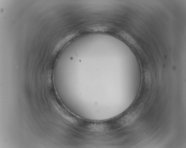 X0000060800537200511241913