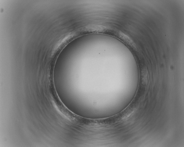 X0000060800538200511241913