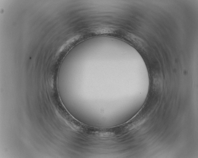 X0000060800539200511241913