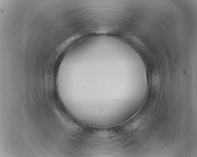 X0000060800540200511241913