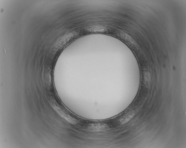 X0000060800541200511241913