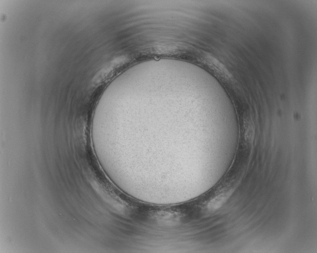 X0000060800542200511241913