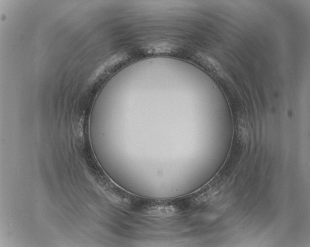 X0000060800543200511241913