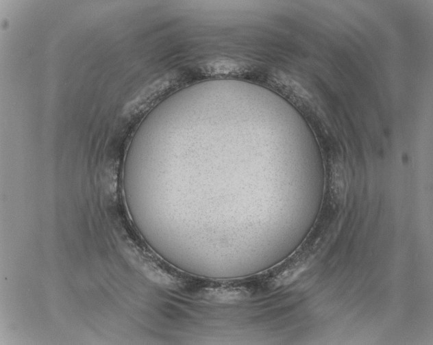 X0000060800545200511241913