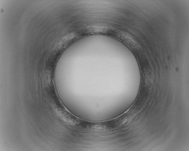 X0000060800546200511241913