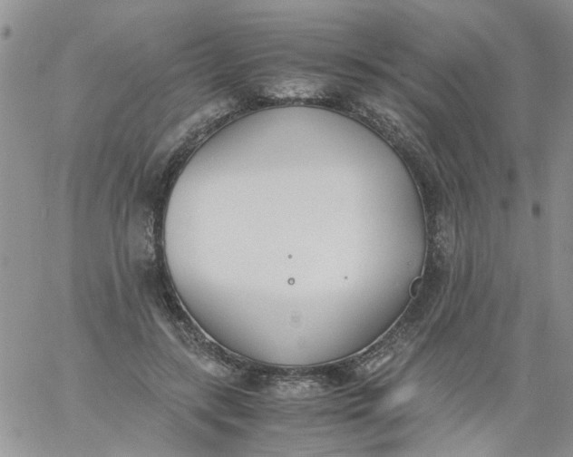 X0000060800547200511241913