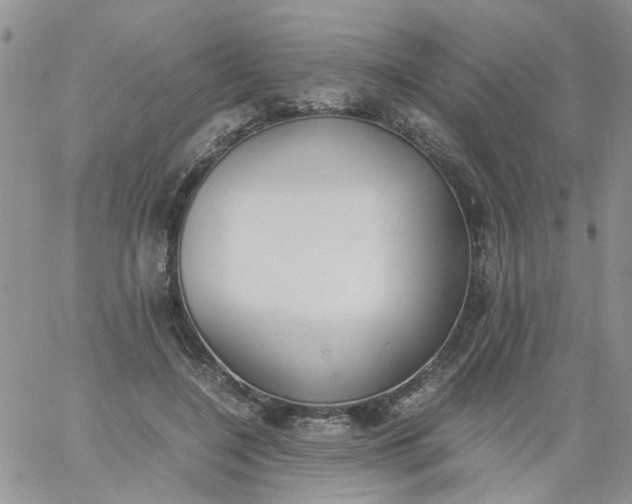 X0000060800548200511241913