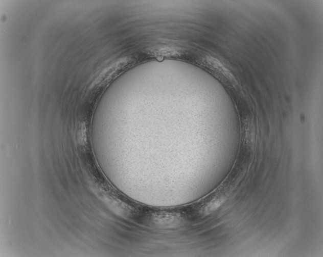 X0000060800549200511241913