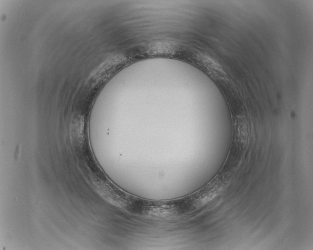 X0000060800550200511241913