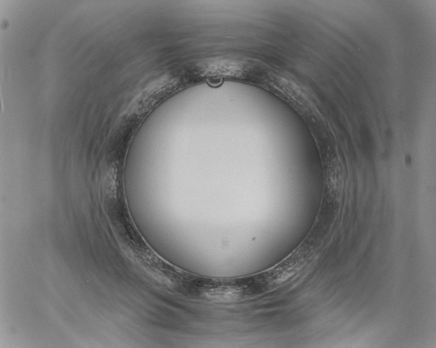 X0000060800551200511241913