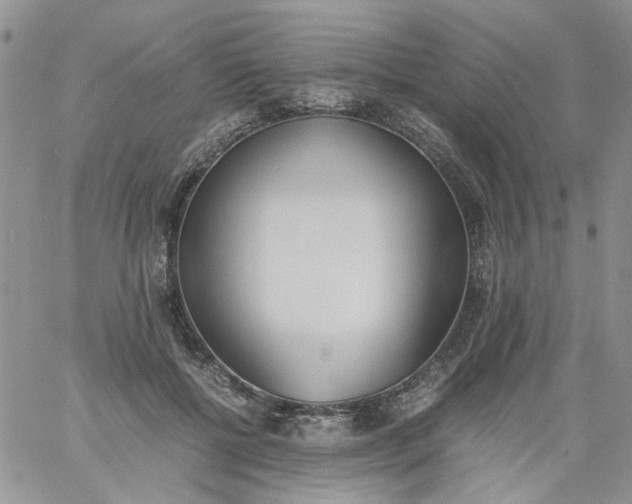 X0000060800552200511241913