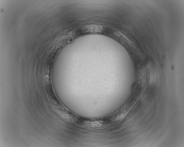 X0000060800553200511241913