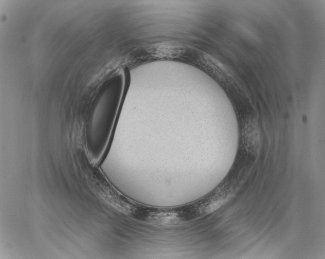 X0000060800554200511241913