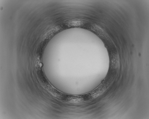 X0000060800555200511241913