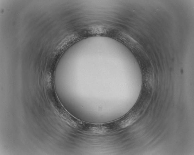 X0000060800556200511241913