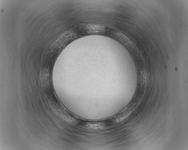 X0000060800557200511241913