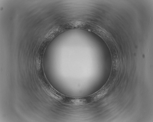 X0000060800558200511241913