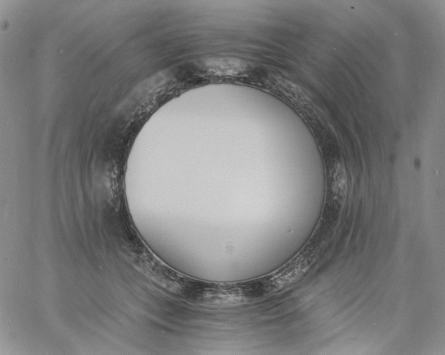 X0000060800559200511241913