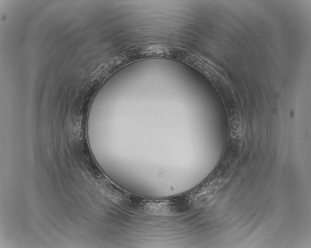 X0000060800560200511241913