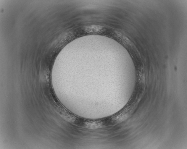 X0000060800561200511241913