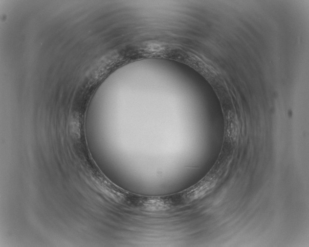 X0000060800562200511241913